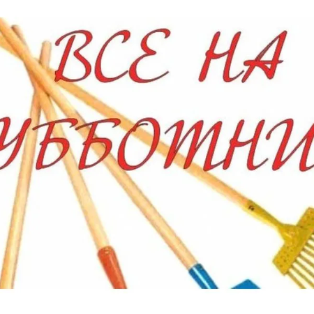 Сотрудники  МКУ ДО "ЦТДиЮ ММР" приняли участие в субботнике